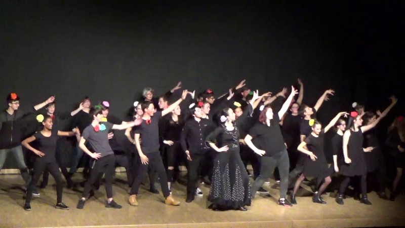 Residence un art pour combattre duende flamenco college st laurent 8