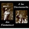Affiche a la decouverte du flamenco