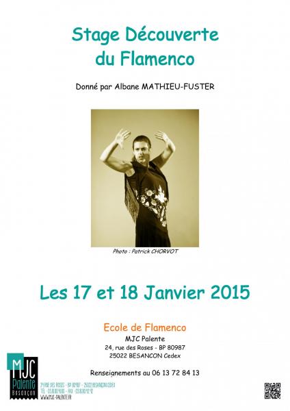 Affiche stage decouverte 2015