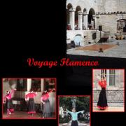 Affiche voyage flamenco web duende flamenco