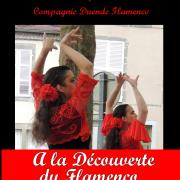Affiche web a la decouverte du flamenco
