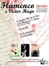 Affiche web flamenco et v hugo