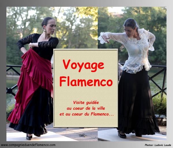 Voyage flamenco 2017