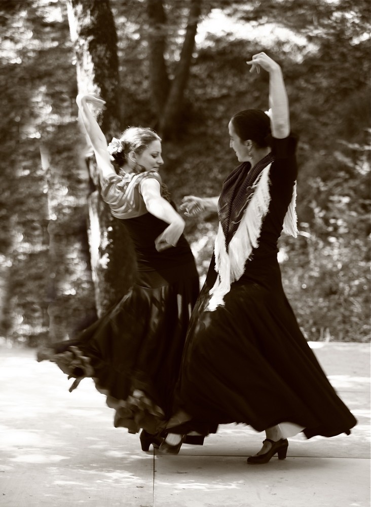 A la decouverte du f dans la foret duende flamenco