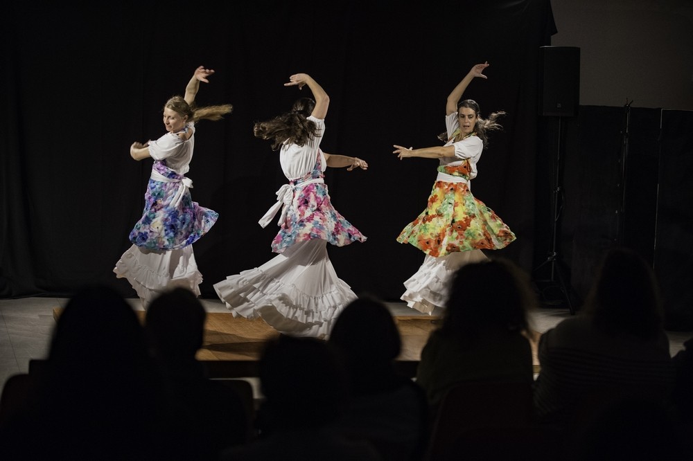 Duende flamenco de la poussiere et des etoiles 3 bibli glacis belfort 1018