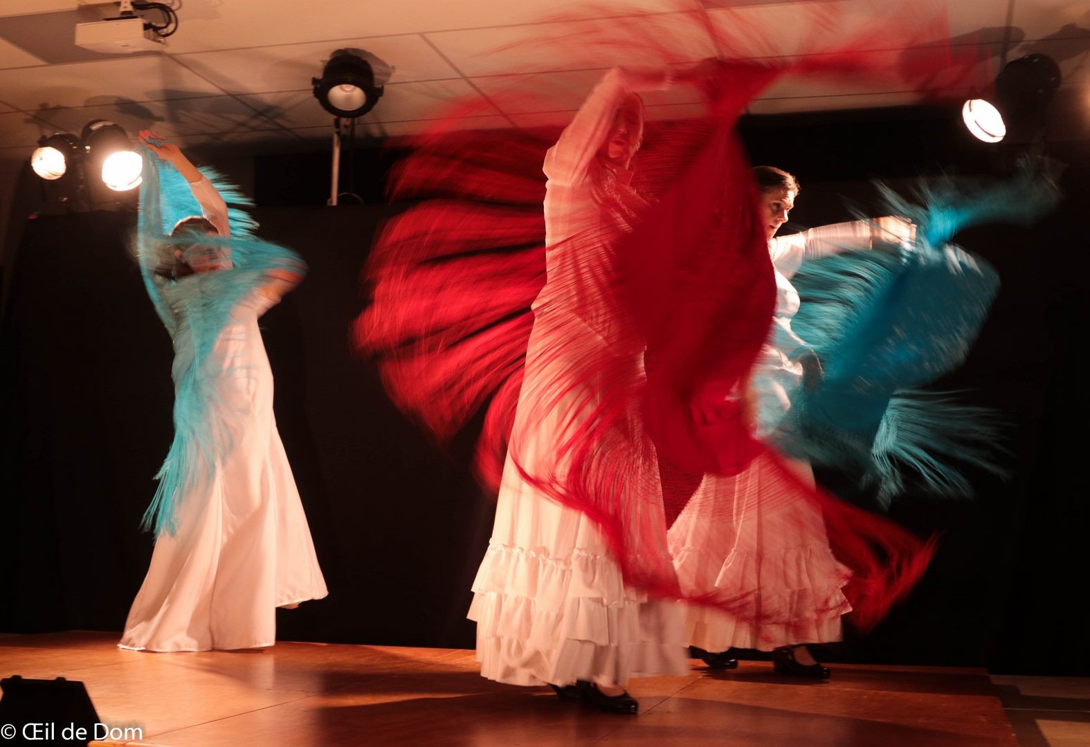 Duende flamenco de la poussiere et des etoiles 3 saone 80218