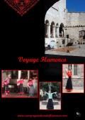 Affiche voyage flamenco web duende flamenco