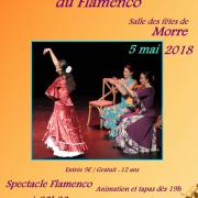 Affiche web a la decouverte du flamenco 5 mai 2018 duende flamenco et esm handball