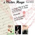 Affiche web flamenco et v hugo