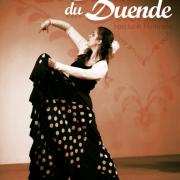 Affiche Le Chemin du Duende