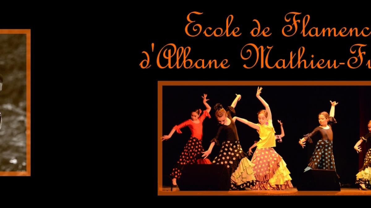 Banniere ecole flamenco