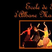 Banniere ecole flamenco