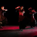 De la Poussiere et des Etoiles Duende Flamenco