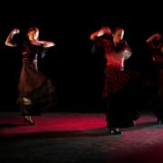 Cie duende flamenco ok 142 copier