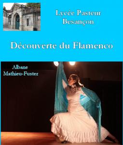 Decouverte flamenco pasteur besancon