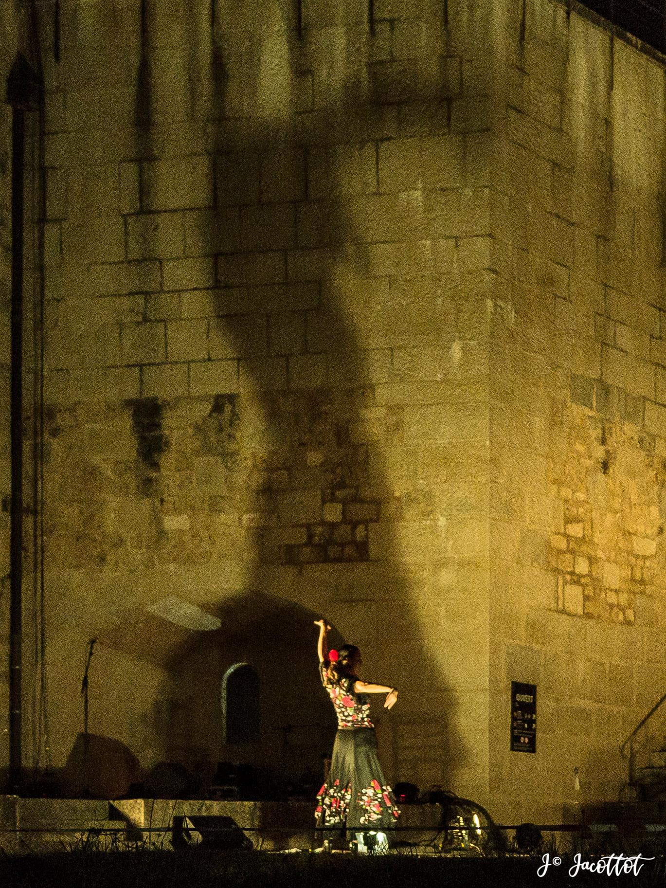 Duende flamenco l invitation au voyage citadelle besancon8 photo jc jacottot