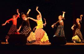 cours et stages enfants Besançon - Ecole Flamenco Albane Mathieu-Fuster