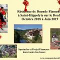 Residence duende flamenco a st hippolyte sur le doubs 2018 2019 comp