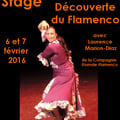 Stage belfort 6et7 fev16 par l marion diaz