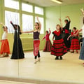 Vacances flamenco 2011