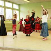 Vacances flamenco 2011