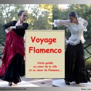 Voyage flamenco 2017